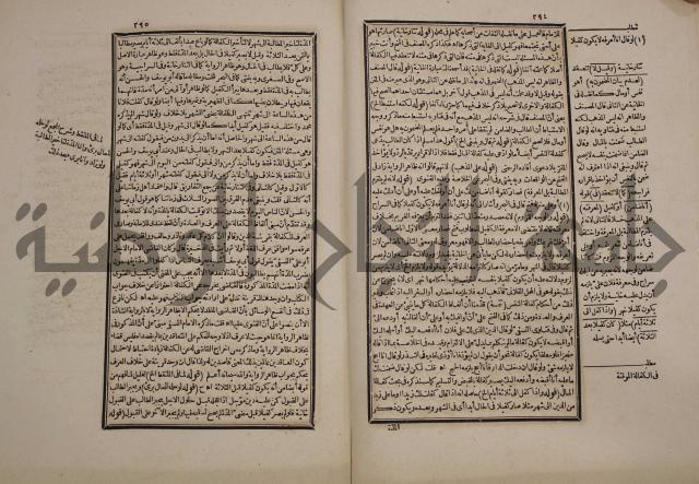 حاشية رد المحتار الدر على المختار شرح تنوير الابصار في فقه مذهب الامام ابي حنيفة النعمان