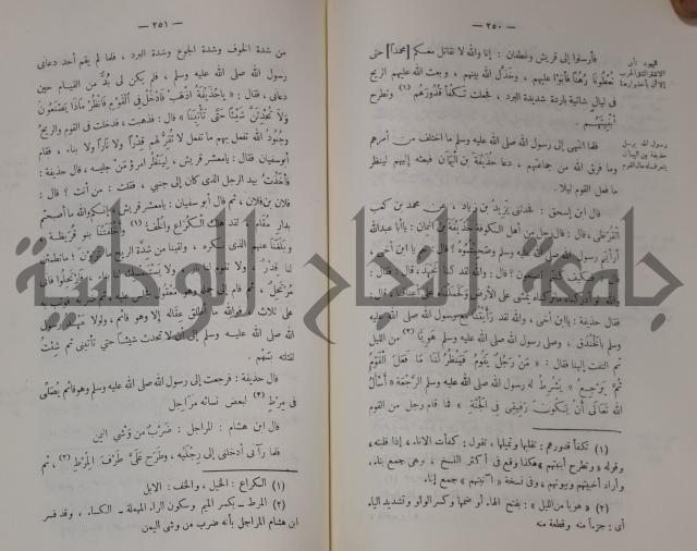 سيرة النبي صلى الله عليه وسلم