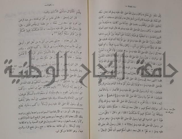 سيرة النبي صلى الله عليه وسلم