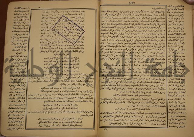 حياة الحيوان الكبرى