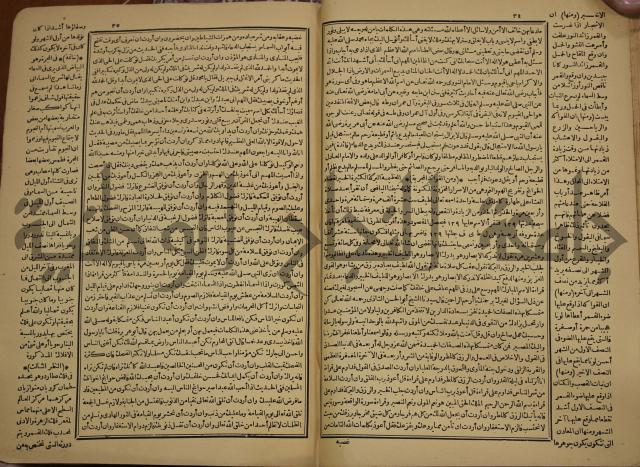 حياة الحيوان الكبرى