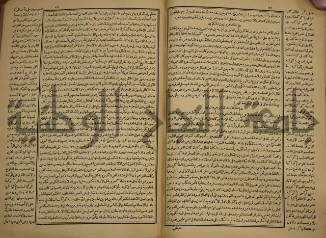 حياة الحيوان الكبرى