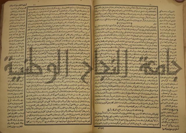 حياة الحيوان الكبرى