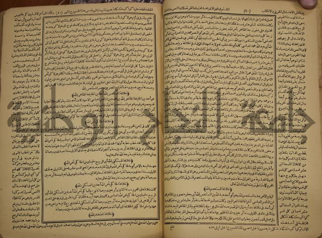 حياة الحيوان الكبرى