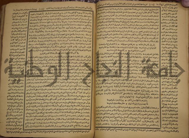 حياة الحيوان الكبرى