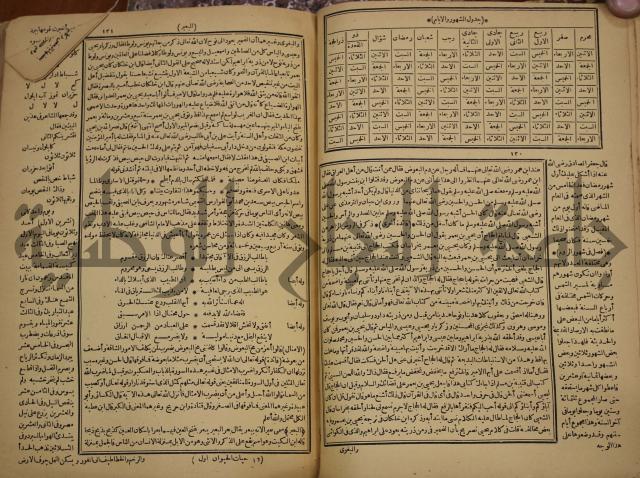 حياة الحيوان الكبرى