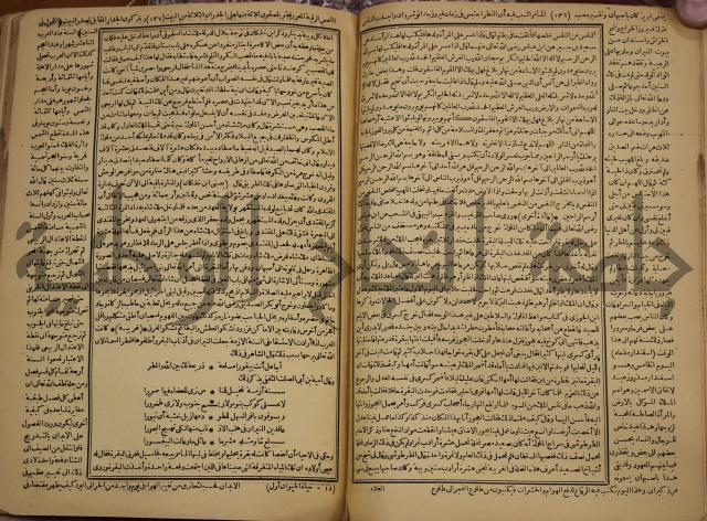 حياة الحيوان الكبرى