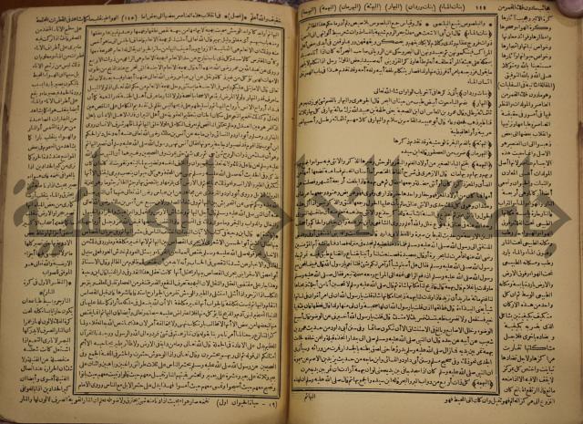 حياة الحيوان الكبرى