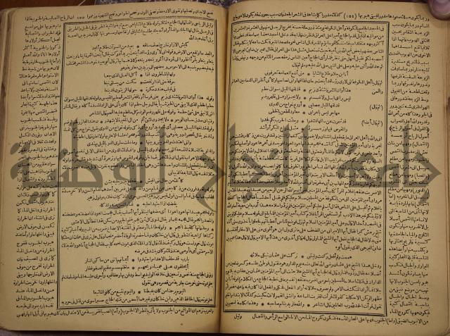 حياة الحيوان الكبرى