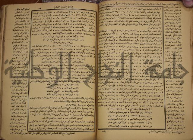 حياة الحيوان الكبرى