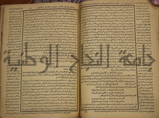 حياة الحيوان الكبرى