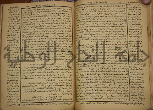 حياة الحيوان الكبرى