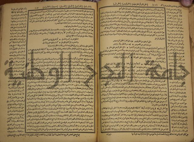 حياة الحيوان الكبرى