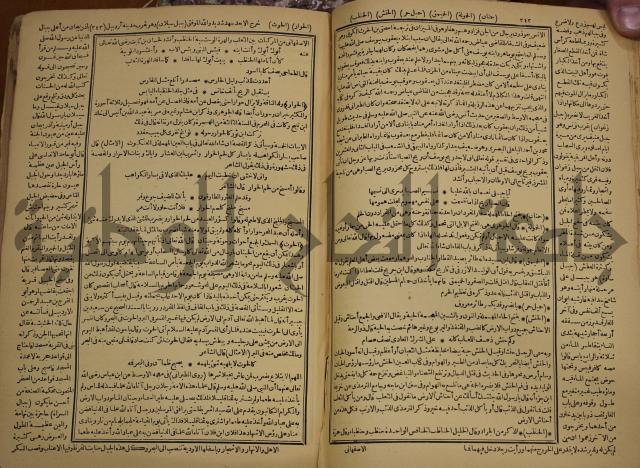 حياة الحيوان الكبرى