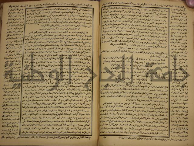 حياة الحيوان الكبرى