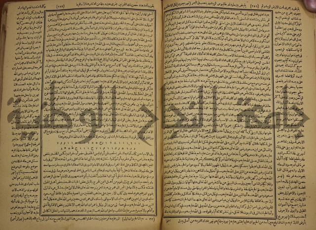 حياة الحيوان الكبرى