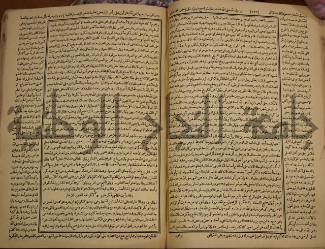 حياة الحيوان الكبرى