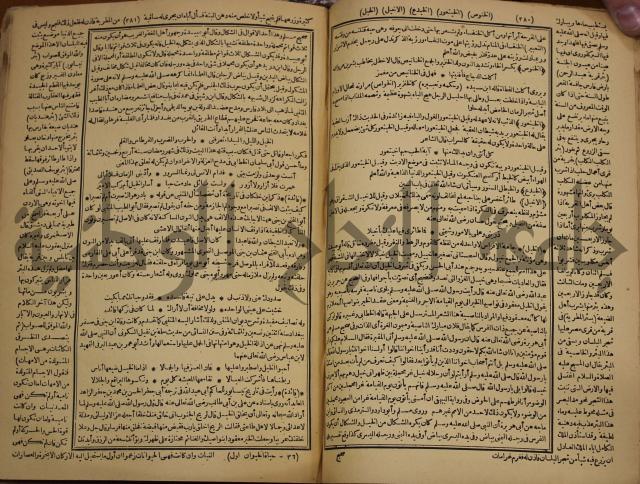 حياة الحيوان الكبرى