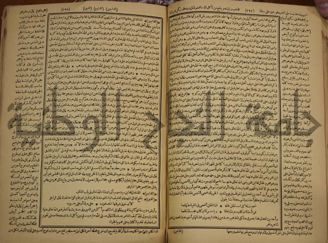 حياة الحيوان الكبرى