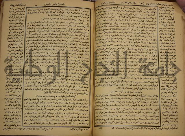 حياة الحيوان الكبرى