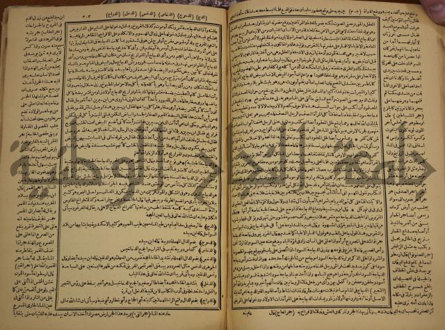 حياة الحيوان الكبرى