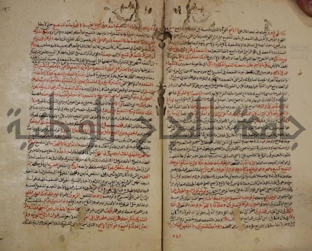 تزيين الاسواق بتفصيل اشواق العشاق 