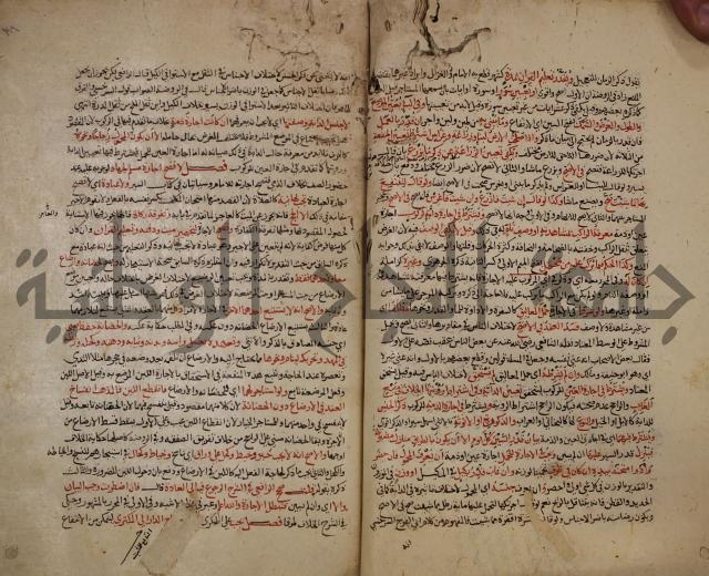 تزيين الاسواق بتفصيل اشواق العشاق 