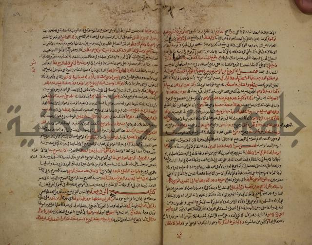 تزيين الاسواق بتفصيل اشواق العشاق 