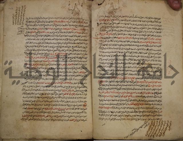 تزيين الاسواق بتفصيل اشواق العشاق 