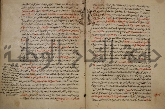 تزيين الاسواق بتفصيل اشواق العشاق 