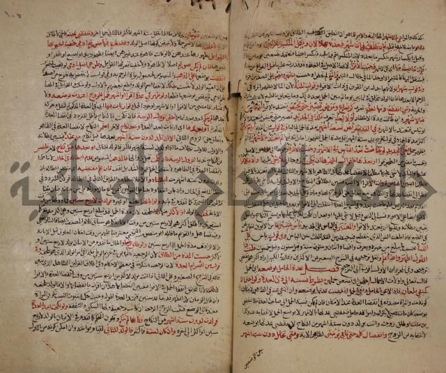 تزيين الاسواق بتفصيل اشواق العشاق 