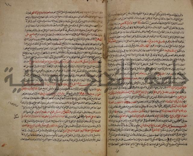 تزيين الاسواق بتفصيل اشواق العشاق 