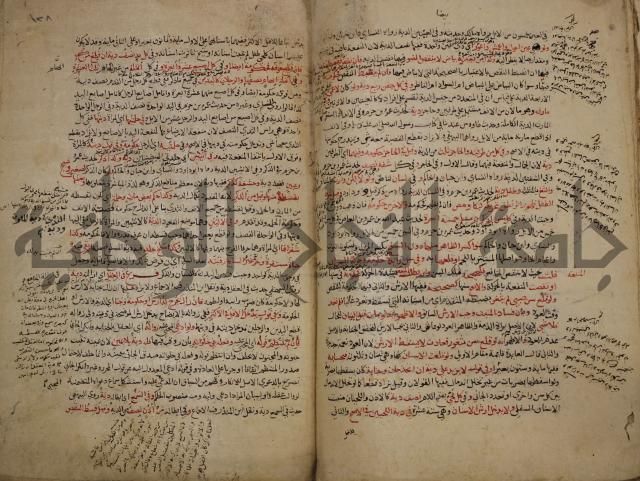 تزيين الاسواق بتفصيل اشواق العشاق 