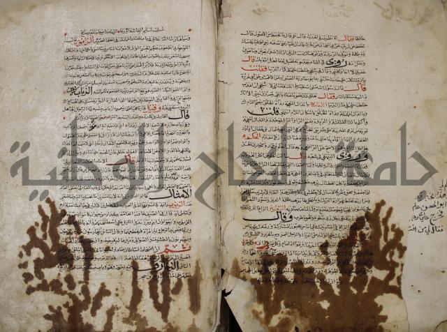 حياة الحيوان الكبرى
