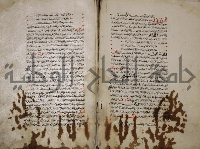 حياة الحيوان الكبرى