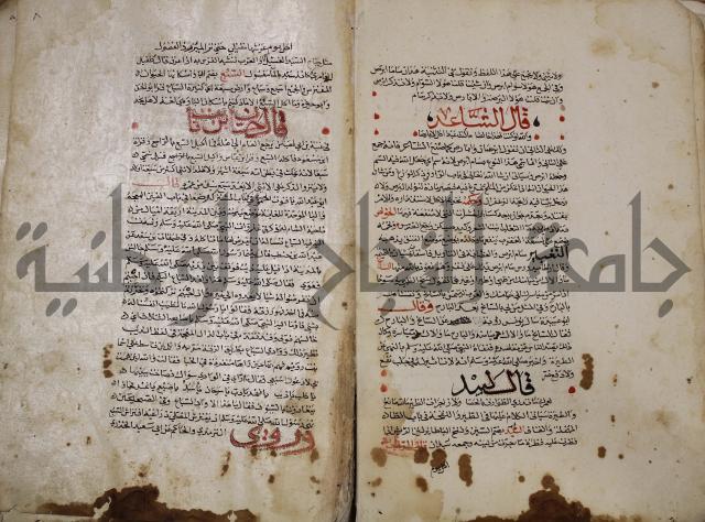 حياة الحيوان الكبرى