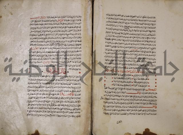 حياة الحيوان الكبرى