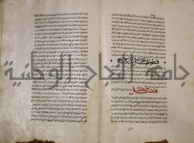 حياة الحيوان الكبرى