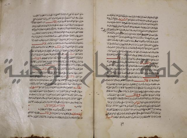 حياة الحيوان الكبرى