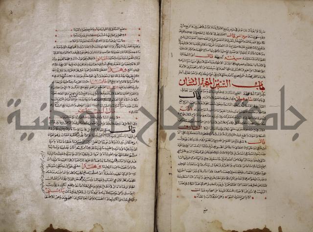 حياة الحيوان الكبرى