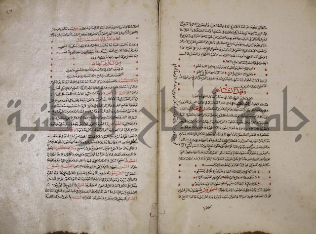 حياة الحيوان الكبرى