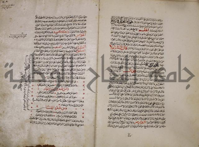 حياة الحيوان الكبرى