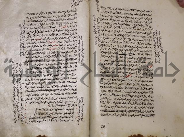 حياة الحيوان الكبرى