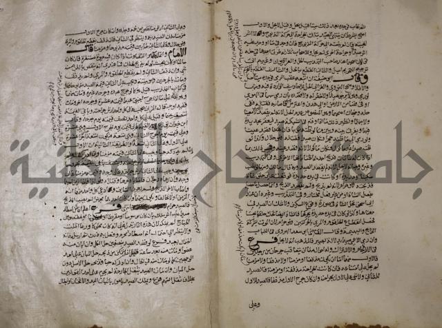 حياة الحيوان الكبرى