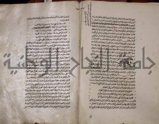 حياة الحيوان الكبرى