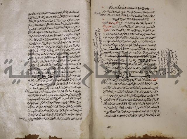 حياة الحيوان الكبرى