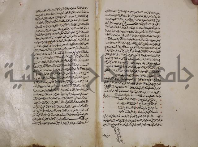 حياة الحيوان الكبرى