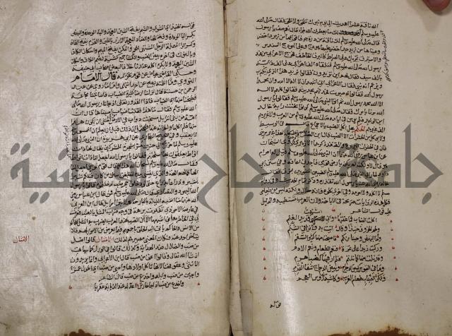 حياة الحيوان الكبرى