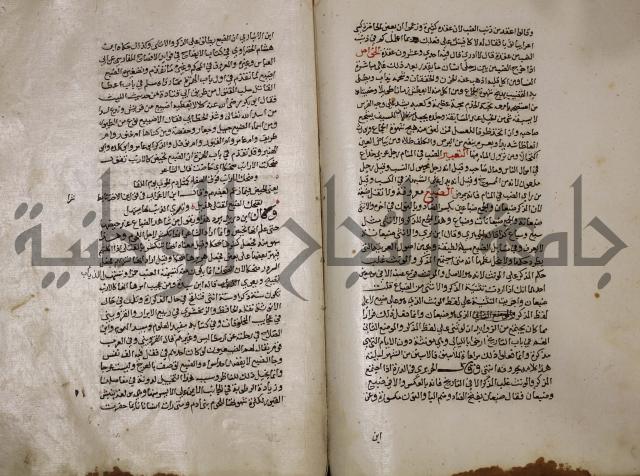 حياة الحيوان الكبرى