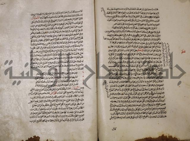 حياة الحيوان الكبرى